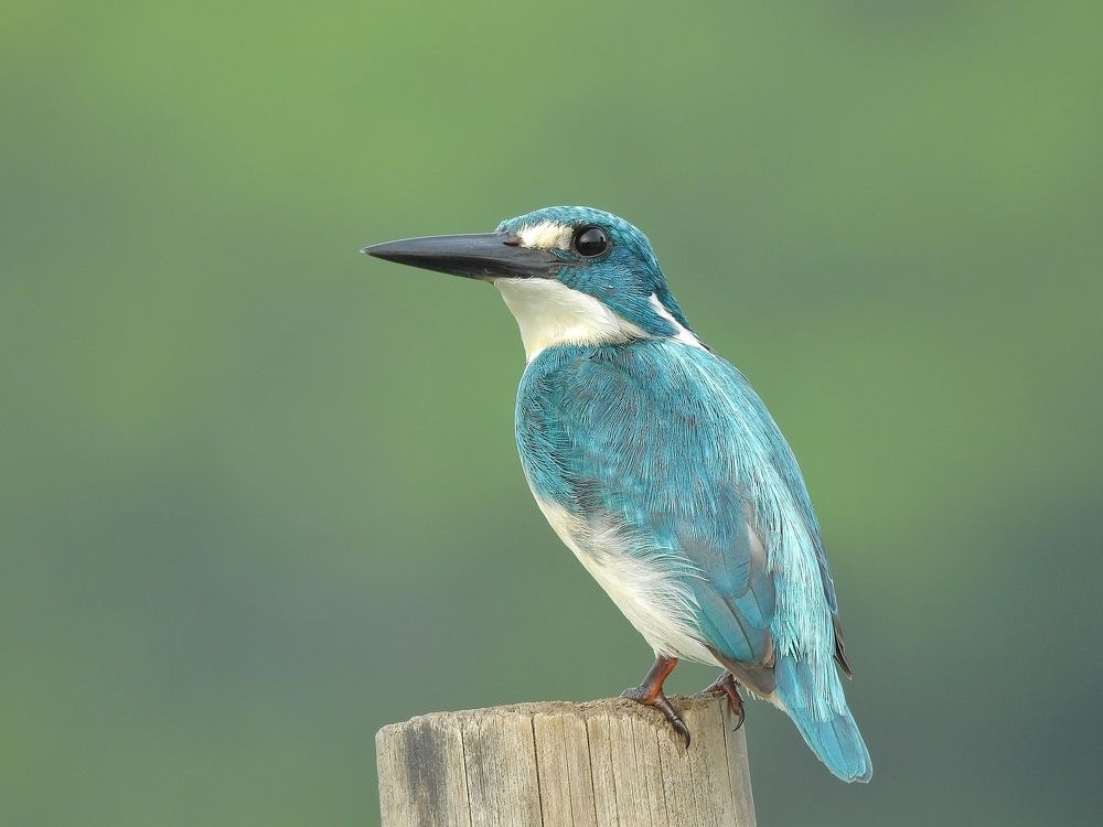 Photograph by Ines Wasi