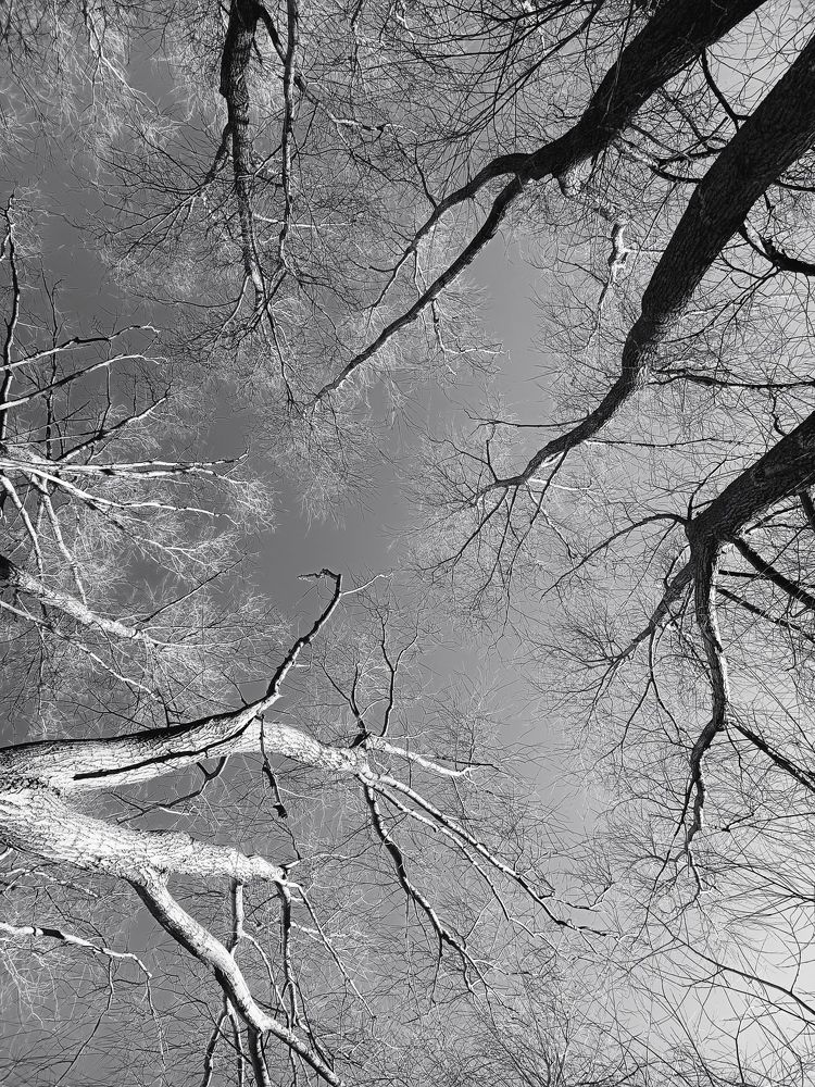 Фотография автора Inga