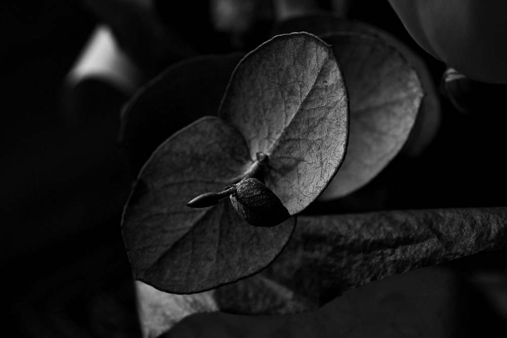 Photograph by Ирина Подборская