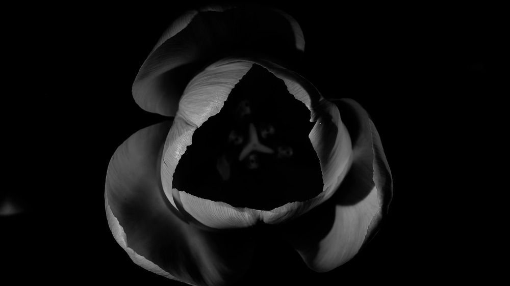 Photograph by Ирина Подборская