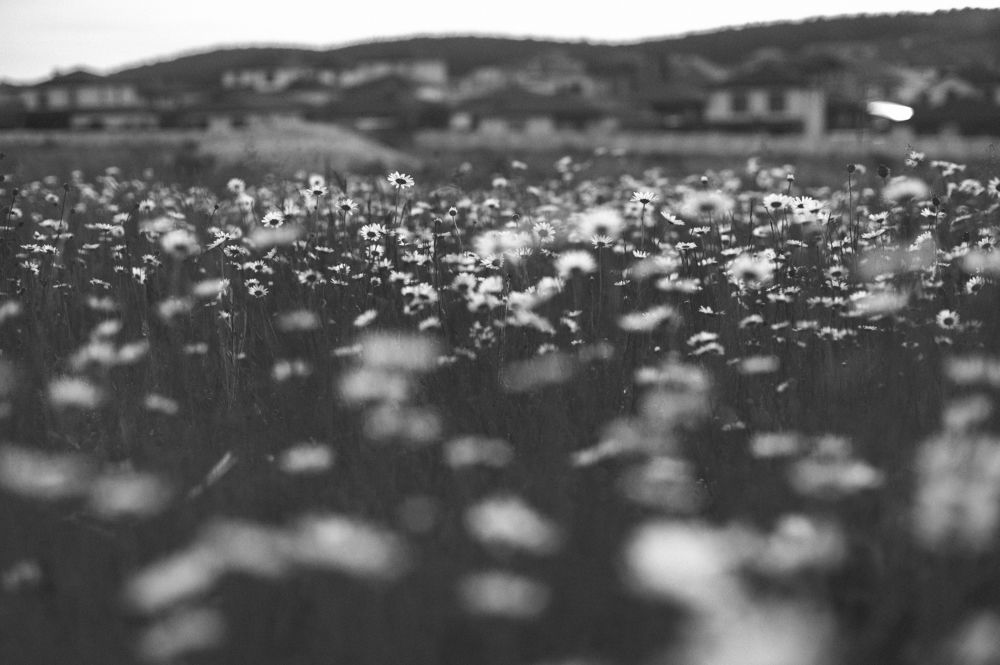 Photograph by Оксана Корниенко