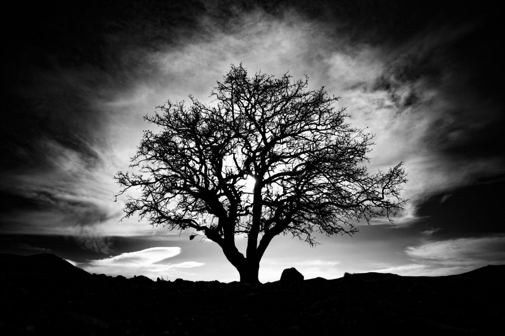 Фотография автора javad