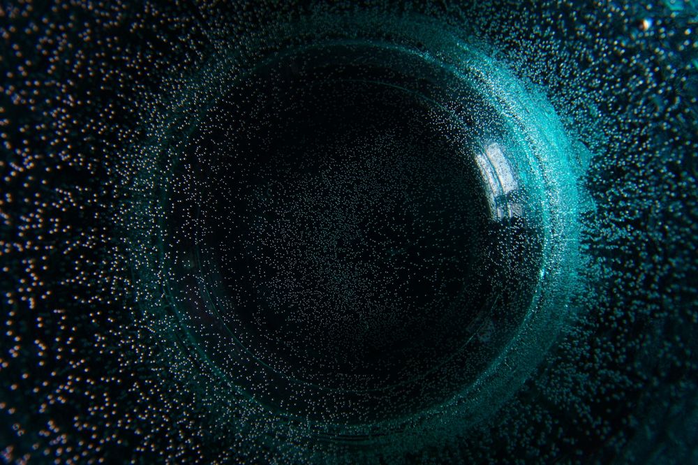 Photograph by Viktoria Vavilkina