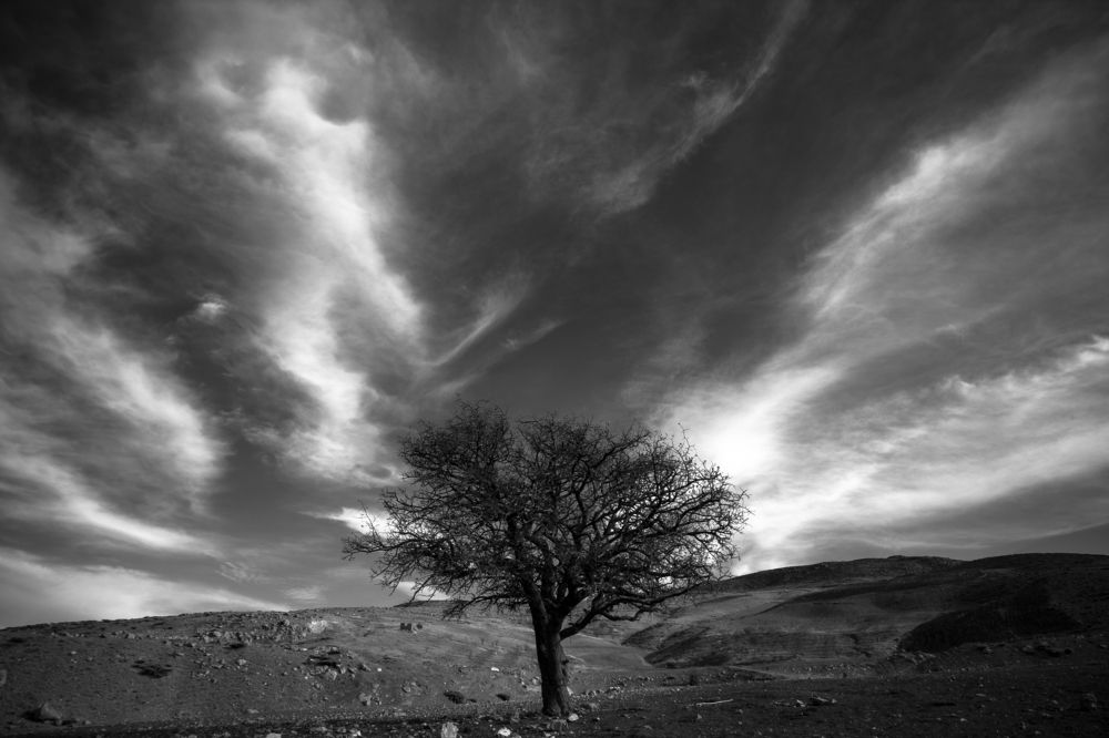 Фотография автора javad