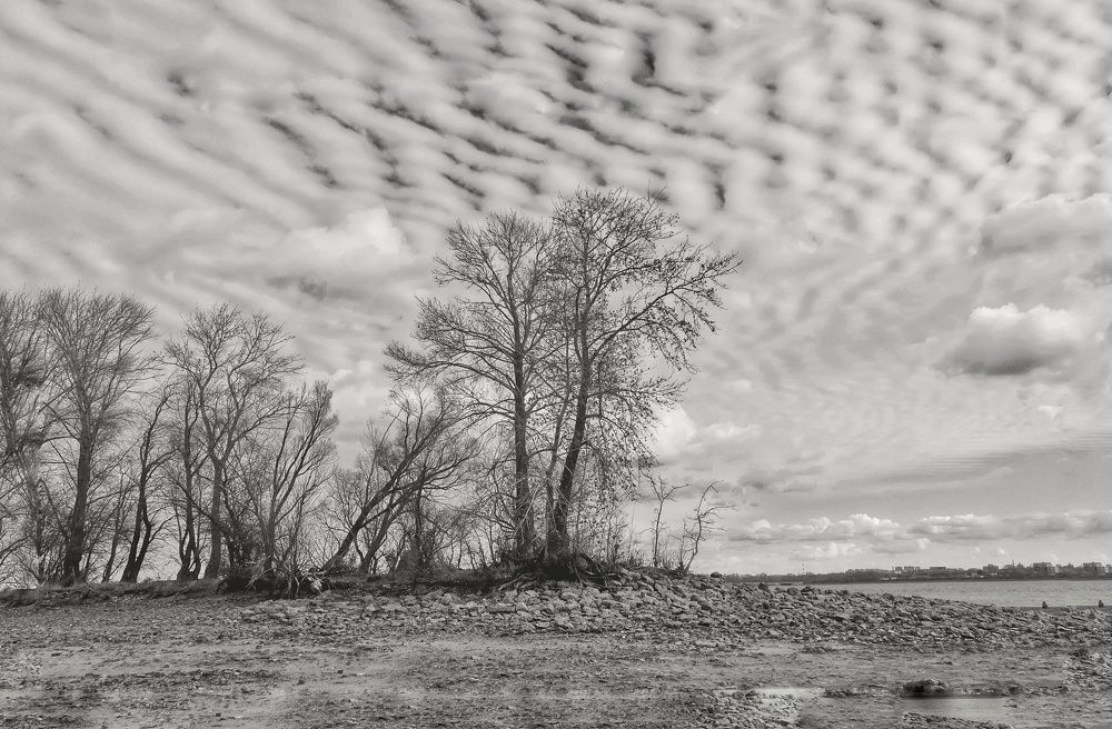 Photograph by Диляра Фахреева