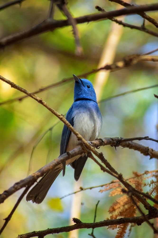 Photograph by Varun Bhusari