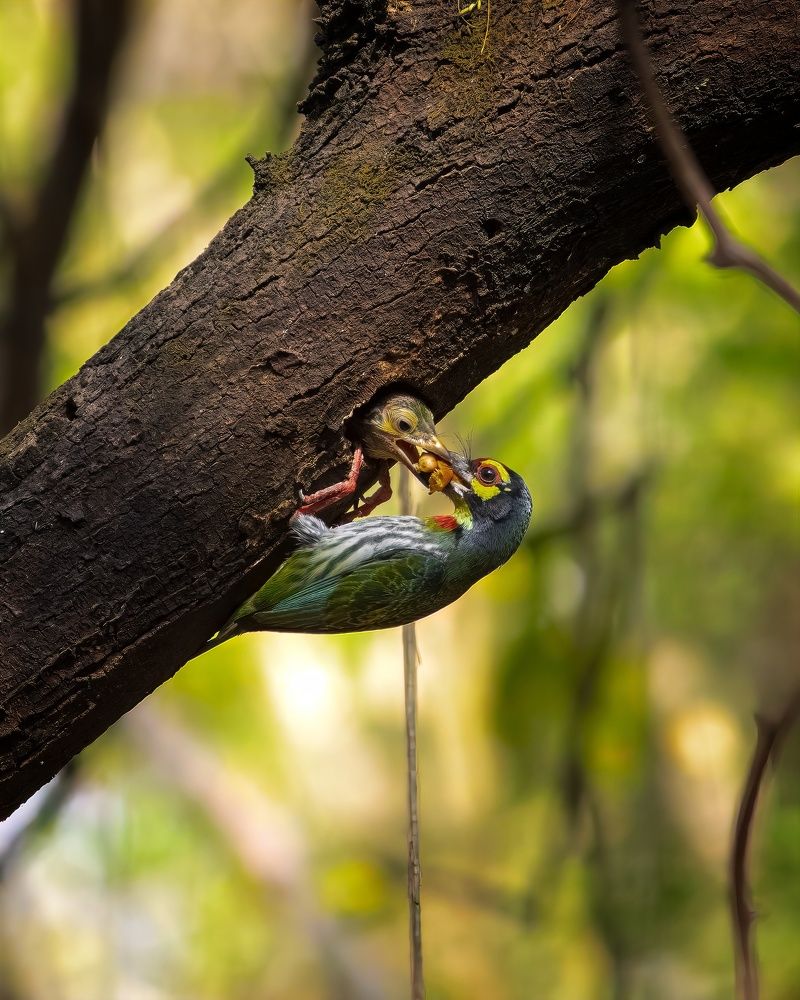Photograph by Varun Bhusari