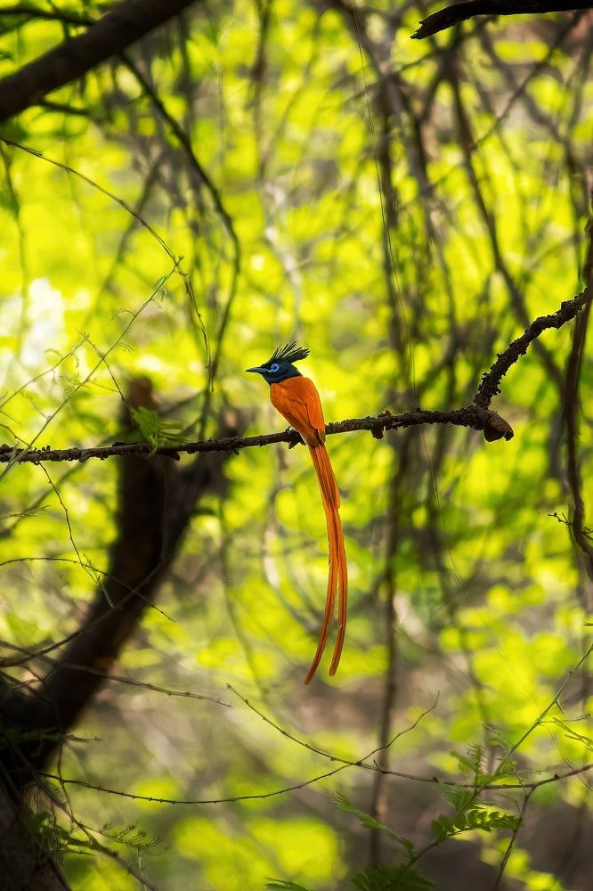 Photograph by Varun Bhusari