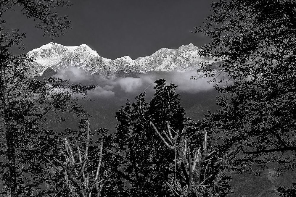 Photograph by Ashim Chakravarty