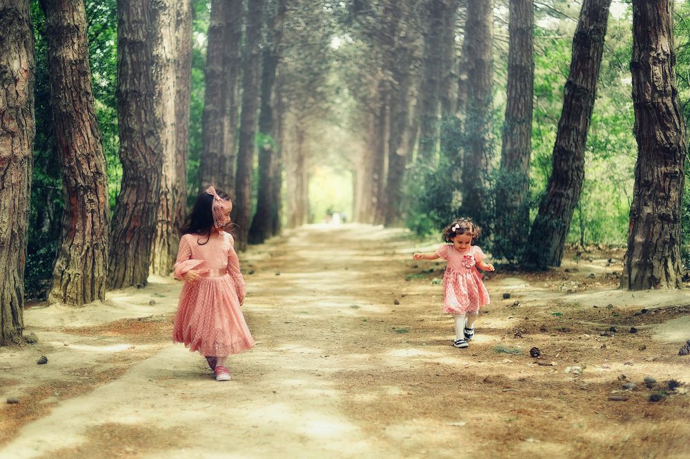 Наперегонки