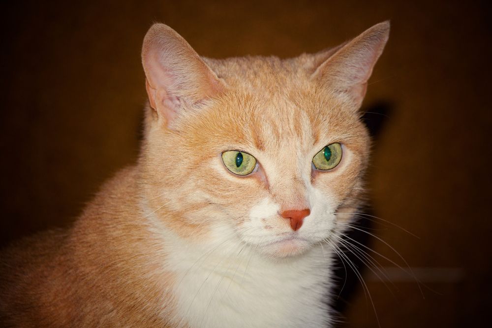 Photograph by Наталья Баруля