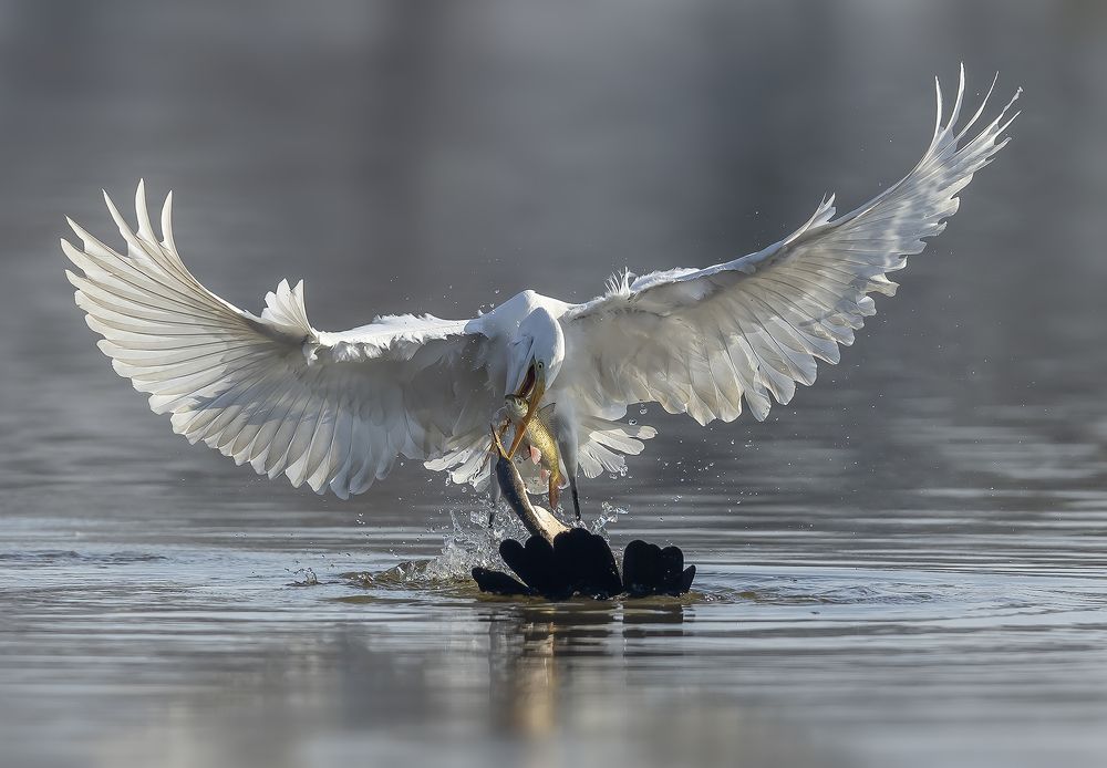 Photograph by Sudhanshu Tiwari