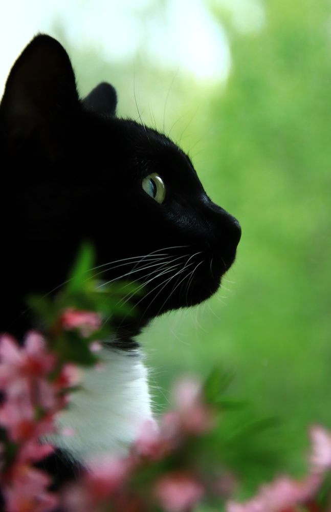 Photograph by Olga Asson