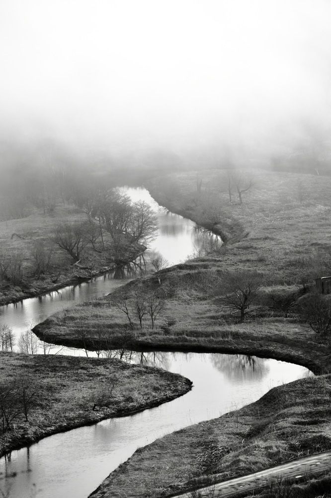Photo #7611514