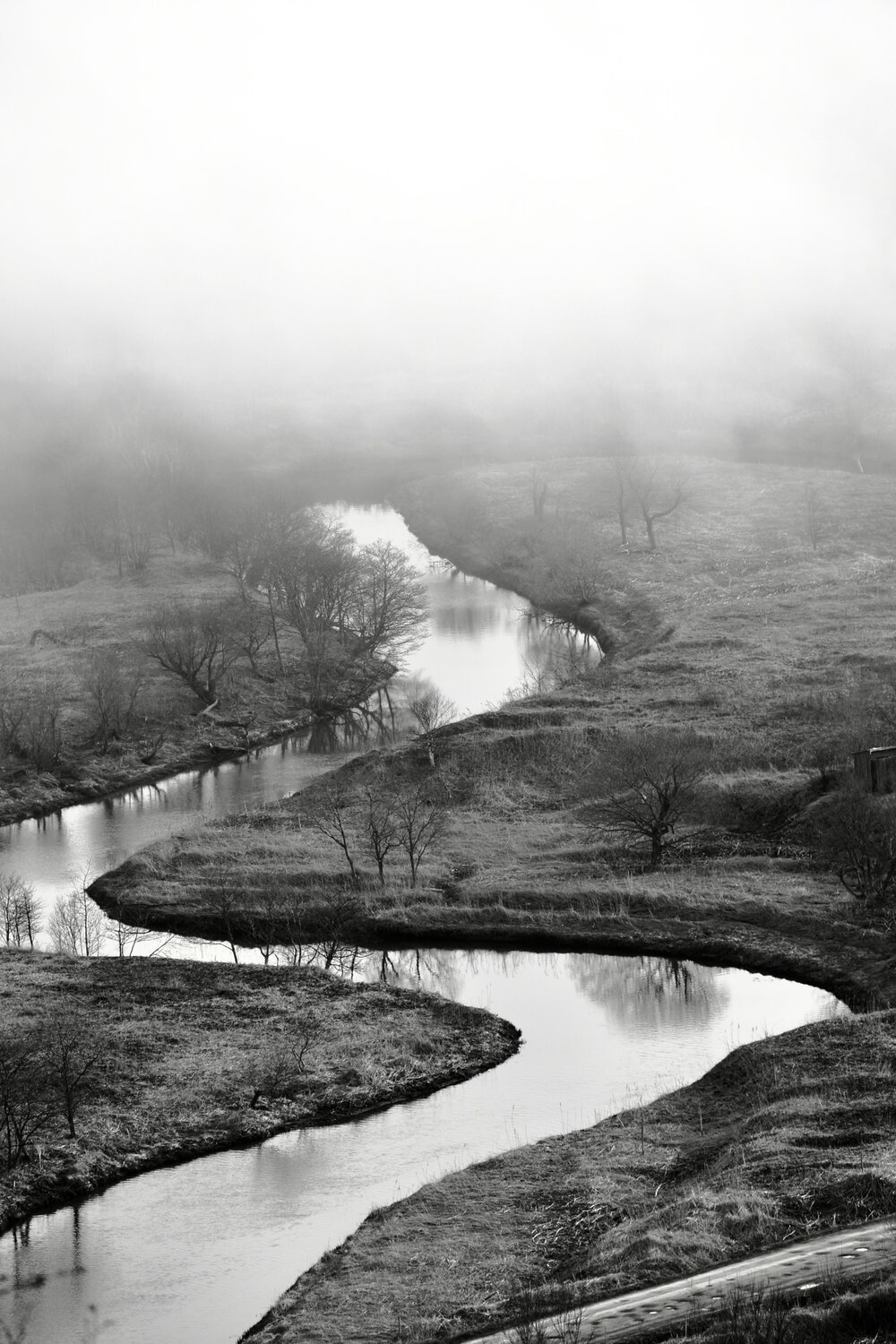 Photo #7611514