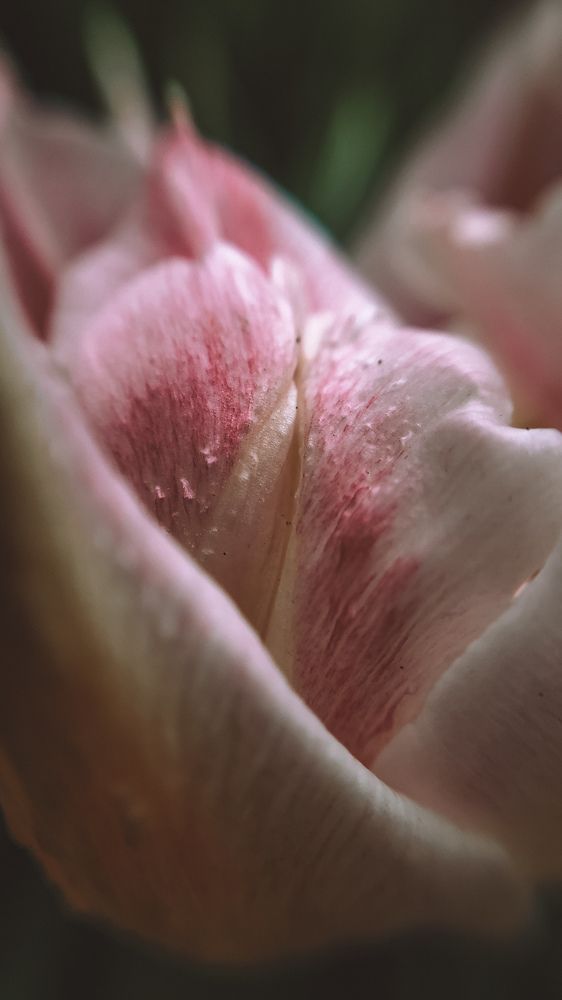 Photograph by Ирина Панкова