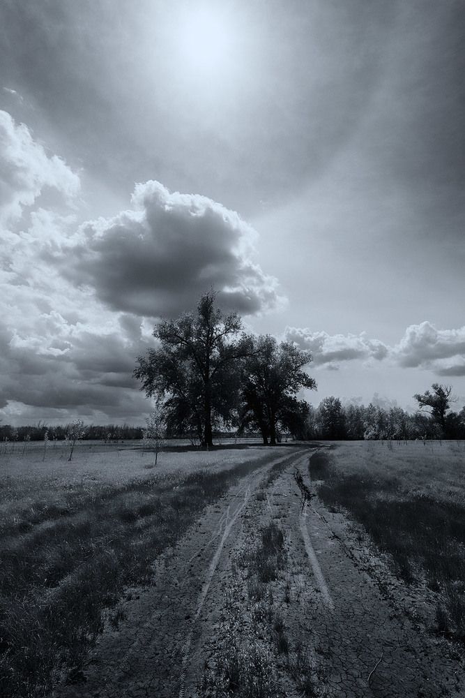 Фотография автора Игорь Баранов