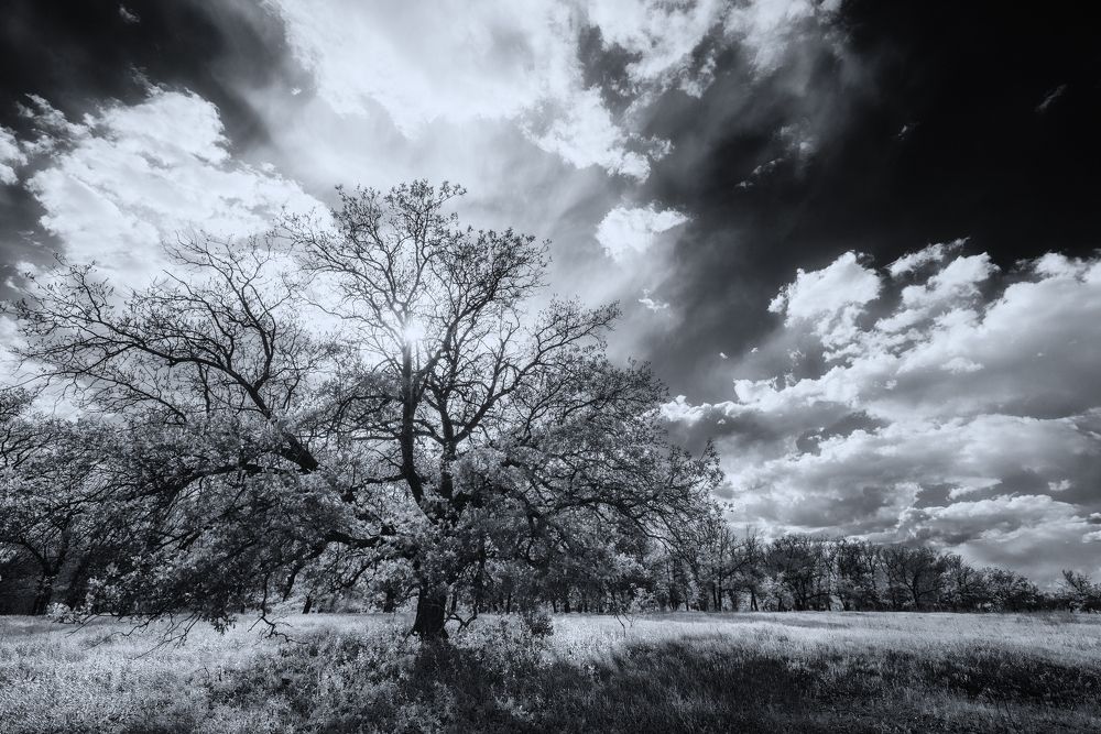 Фотография автора Игорь Баранов