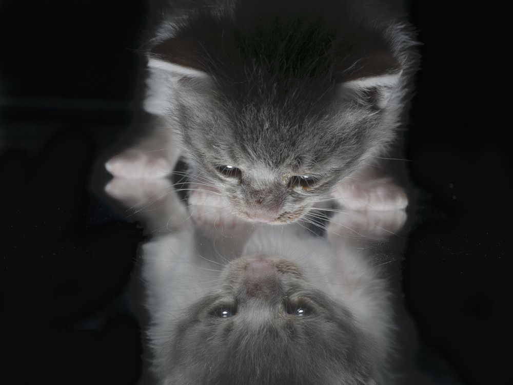 Photograph by Иван Коляда