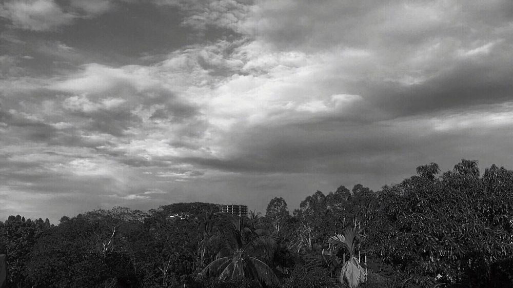 Фотография автора Ko Hla Myint Oo