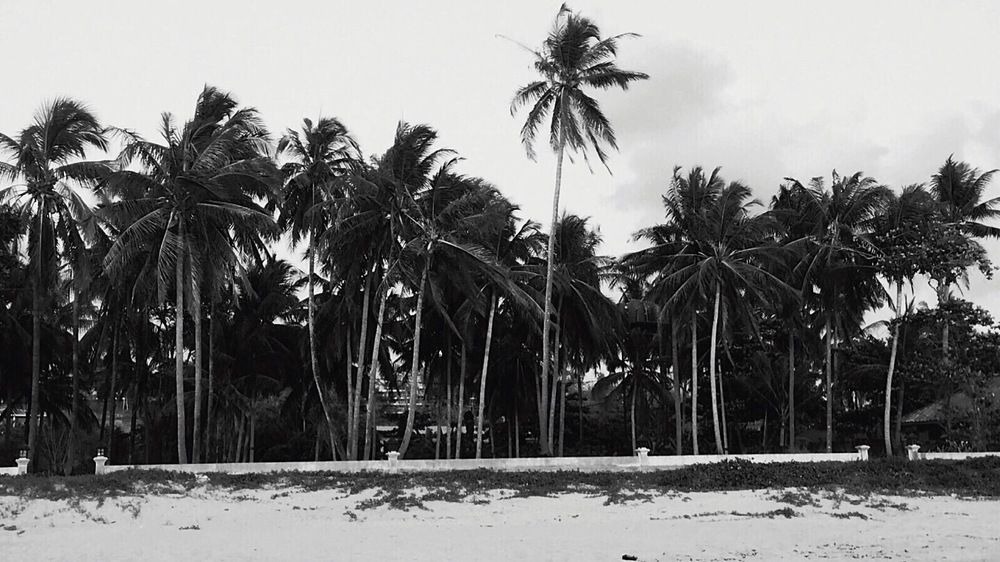 Фотография автора Ko Hla Myint Oo