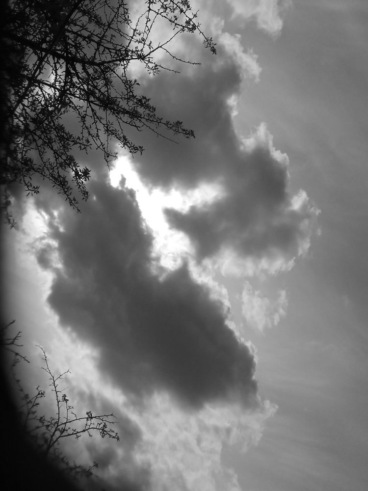 Photograph by Елена