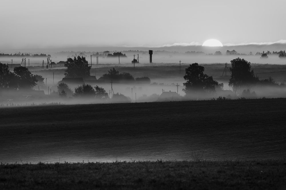 Photograph by Владимир Ликман