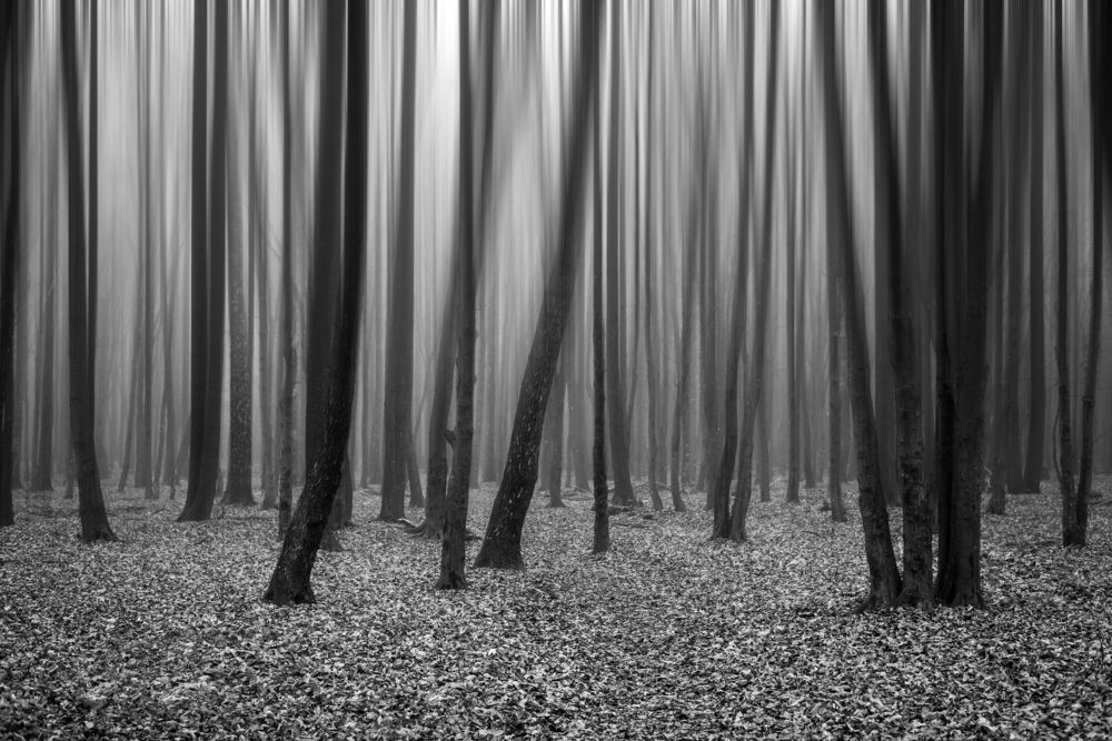 Photograph by Владимир Ликман