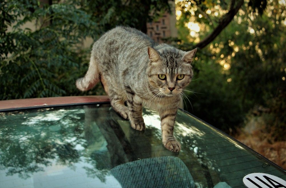 Photograph by Людмила Бутова