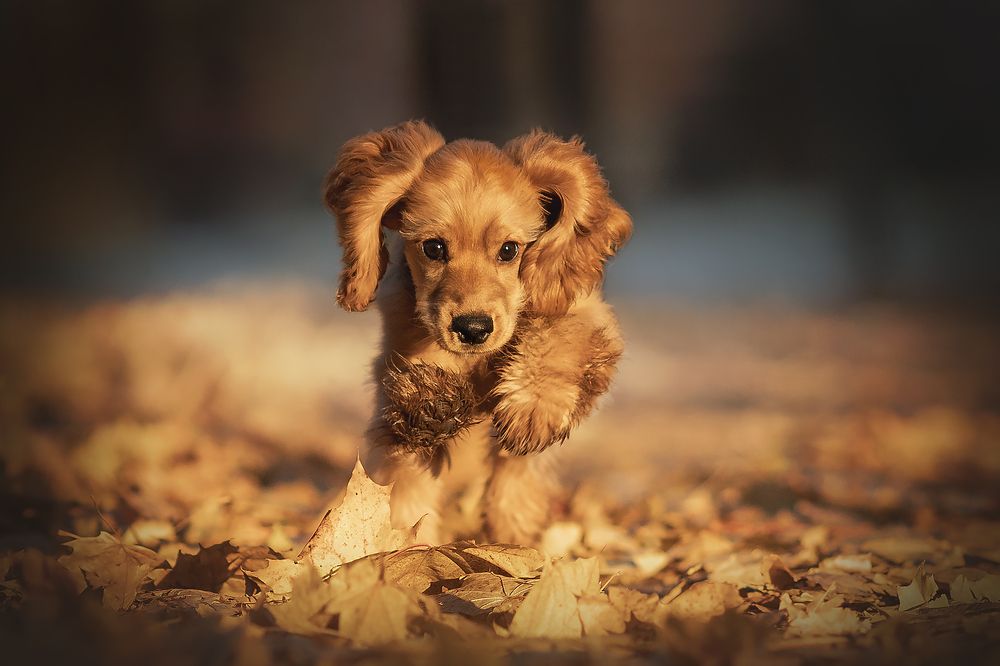 Photograph by Ирина Леонова