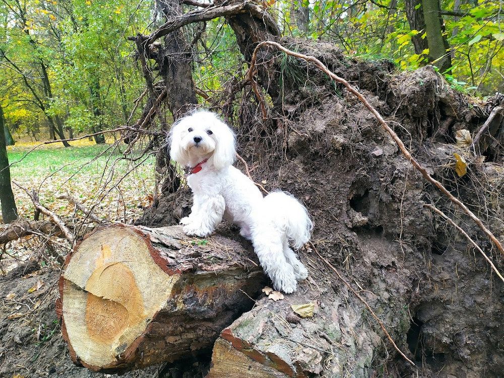 Photograph by Людмила Муравьева