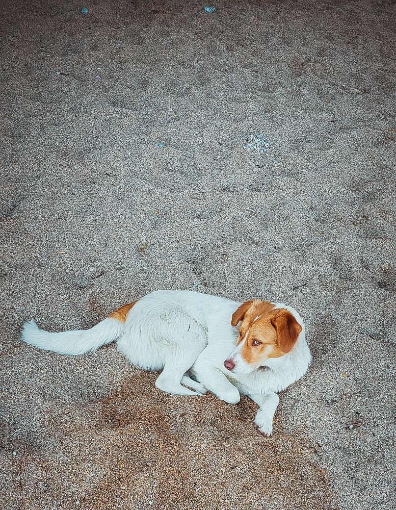 Photograph by Ирина Панкова