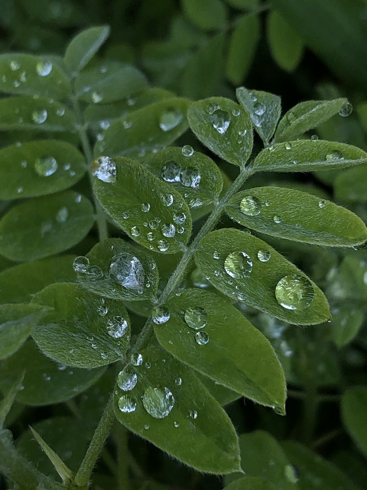 Photograph by Ирина Леонова