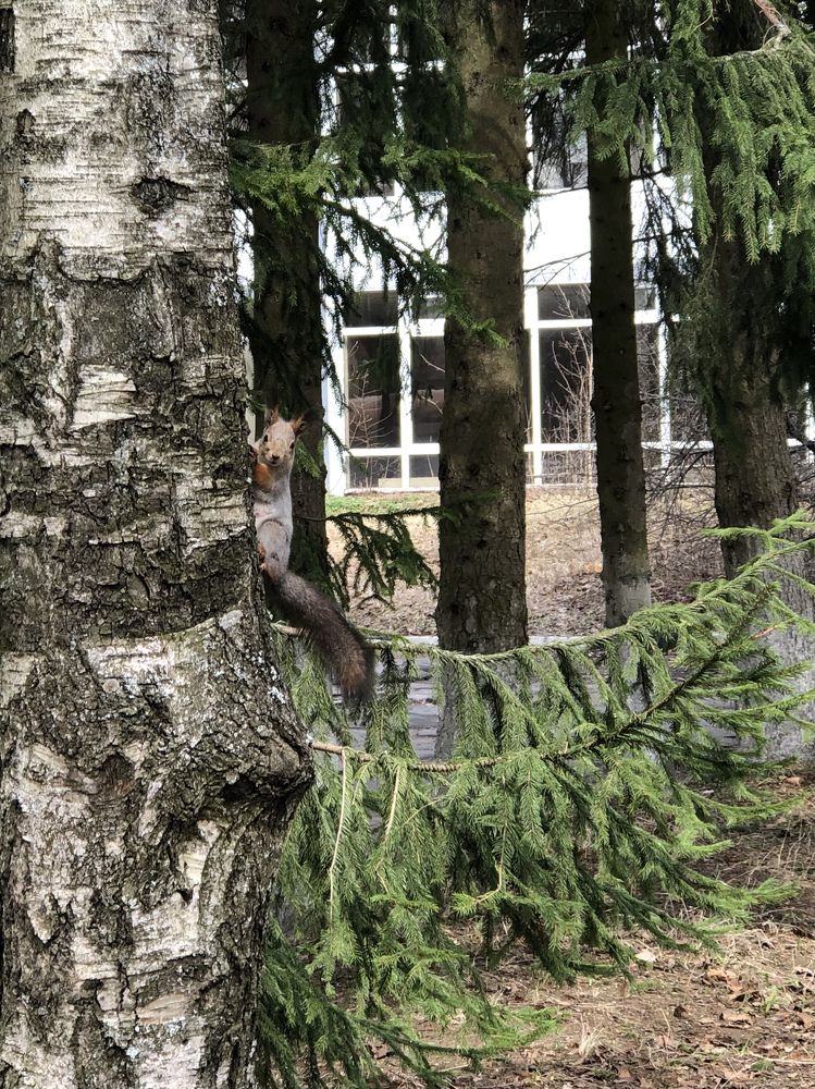 Photograph by Ирина Леонова