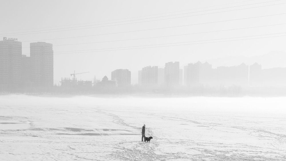 Photograph by Gustov Shults