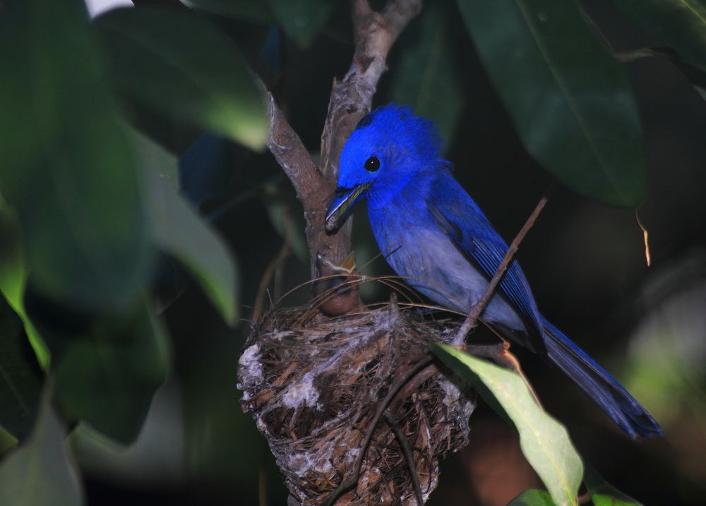 Фотография автора Deny Wahyudi