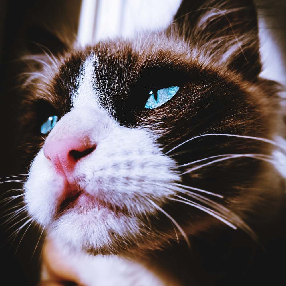 Photograph by Thameur Dahmani