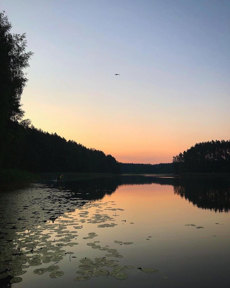 Photograph by Лариса Акинчиц