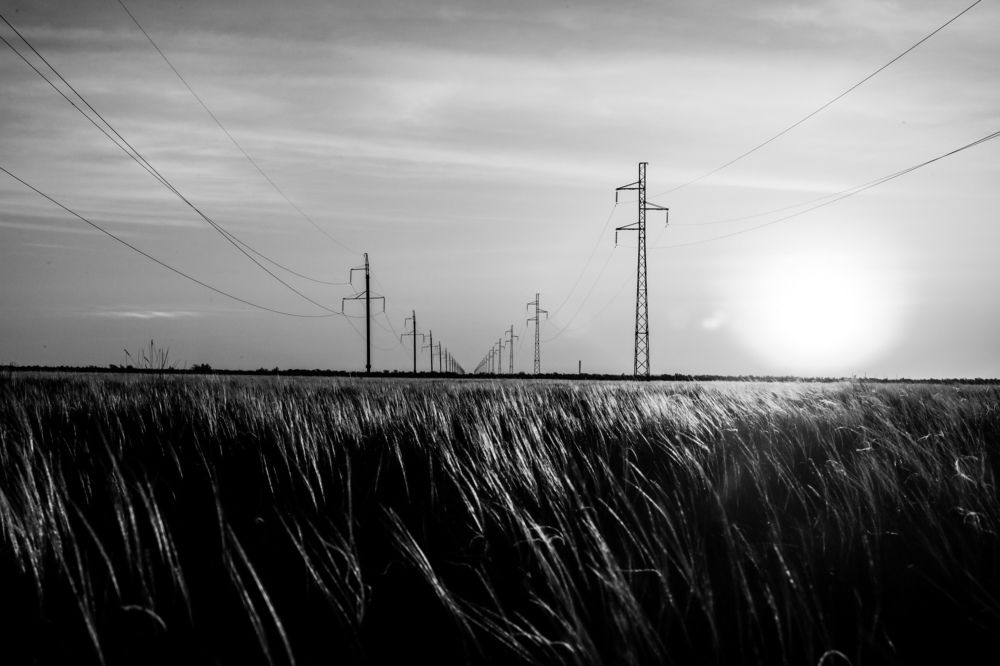 Photograph by Александр Яновский