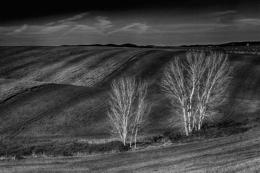 Photograph by António Manuel de Pereira