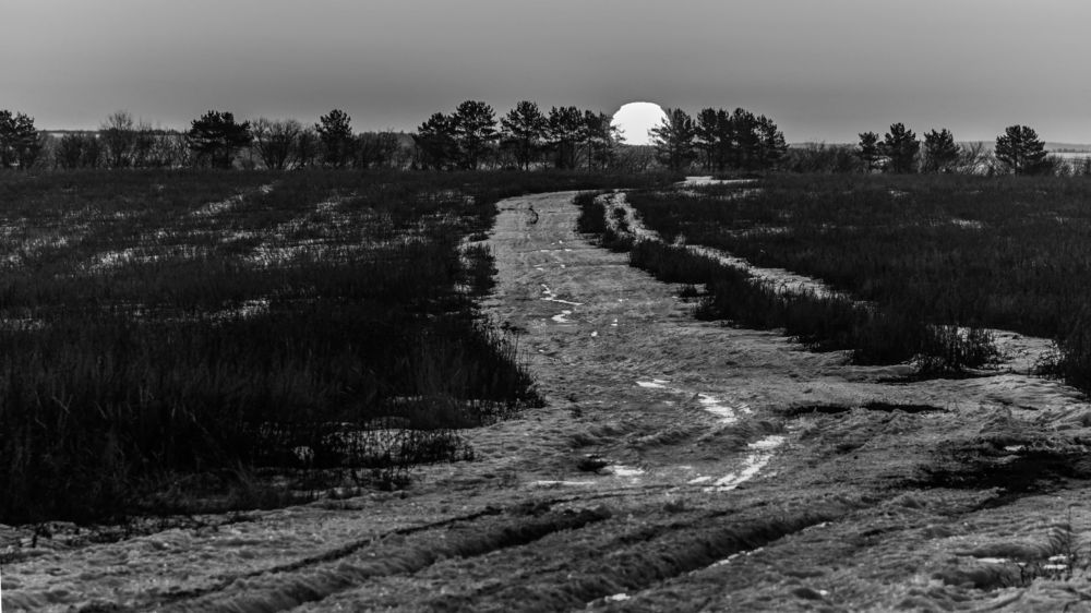 Photograph by Алексей