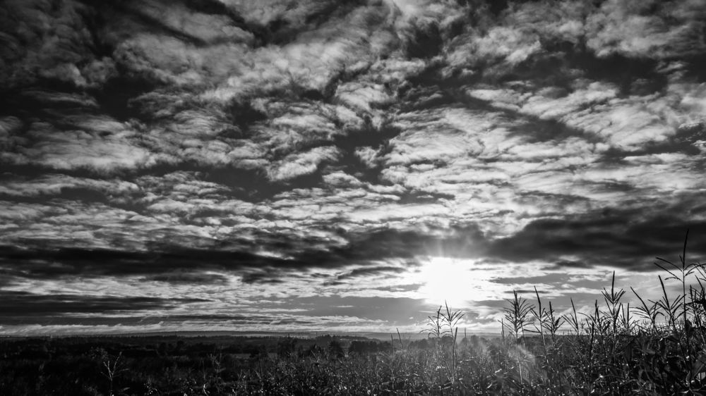 Photograph by Алексей