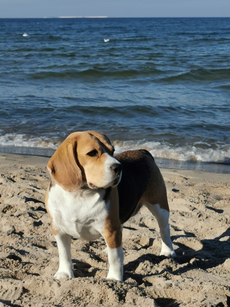 Photograph by Наталия Питолина