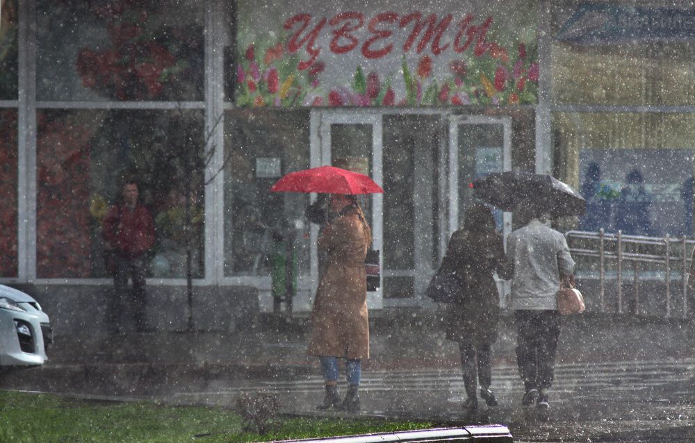 Фотография автора Настя