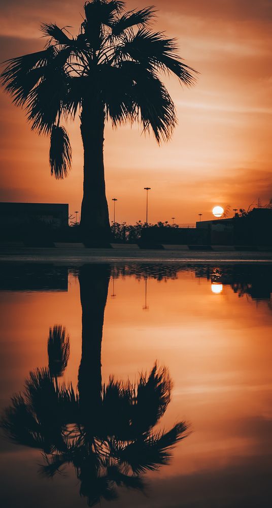 Photograph by Abdullah Al Battah