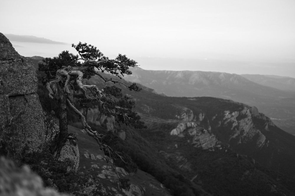 Photograph by Ирина Ри