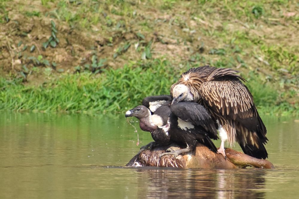 Photograph by Shawon Kuri