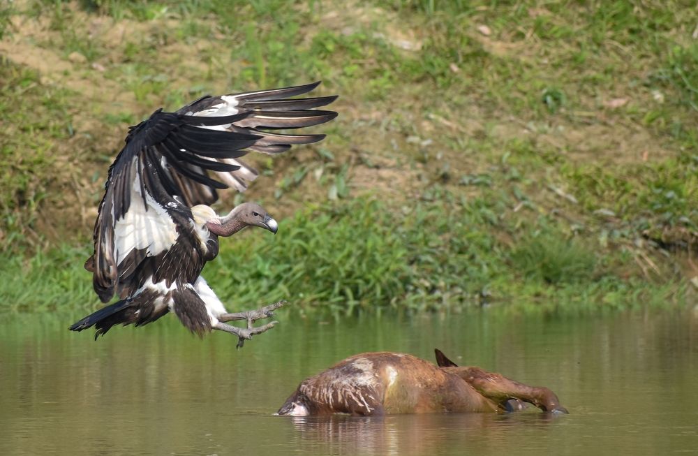 Photograph by Shawon Kuri