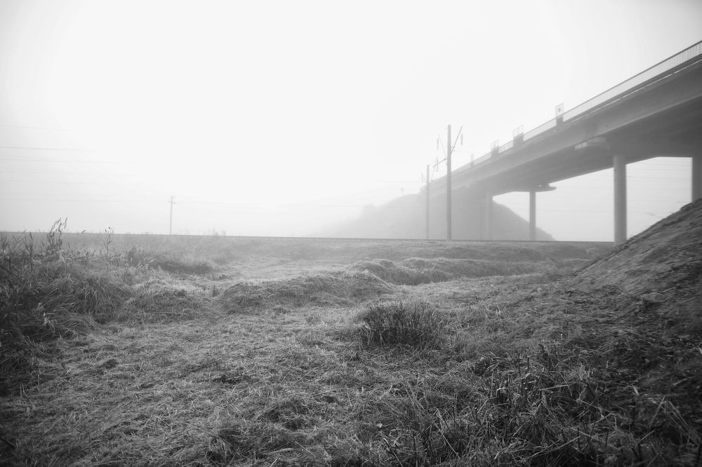 Photograph by Максим