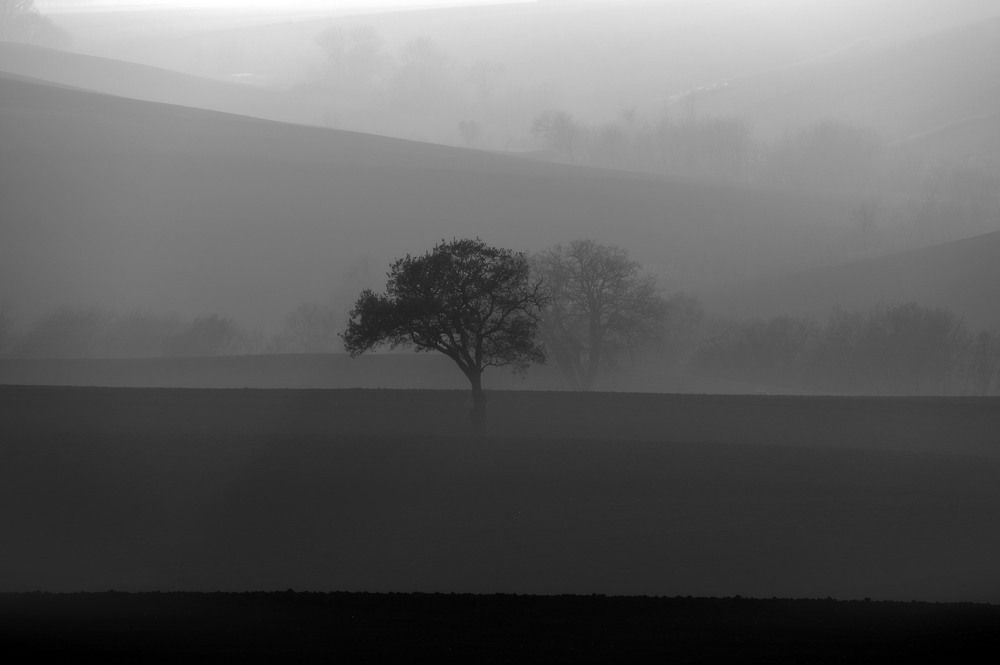 Photograph by giuseppe perrotta